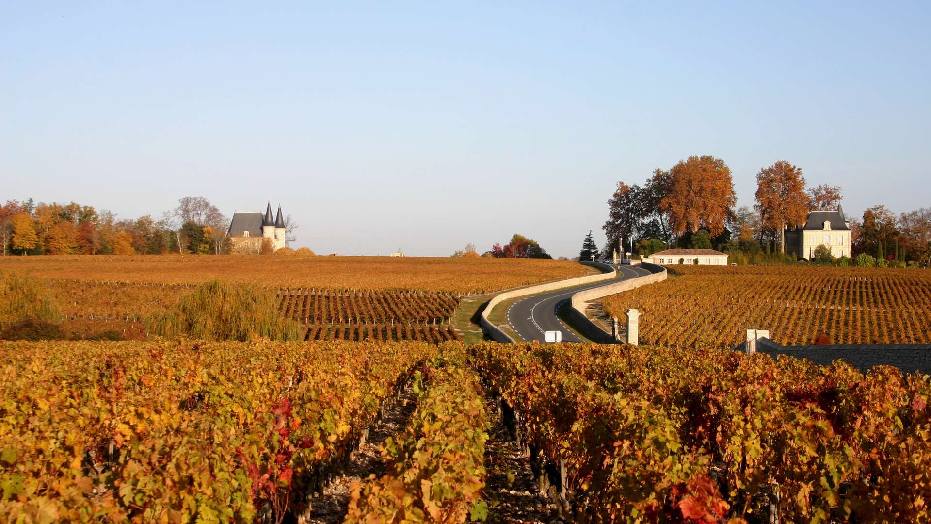 Medoc