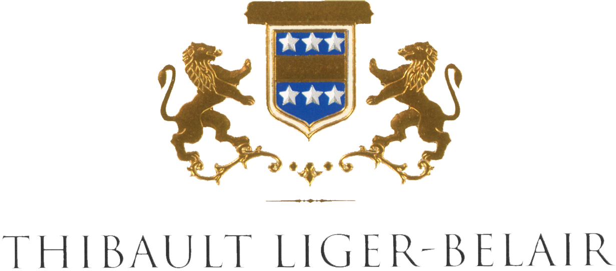 Thibault Liger-Belair