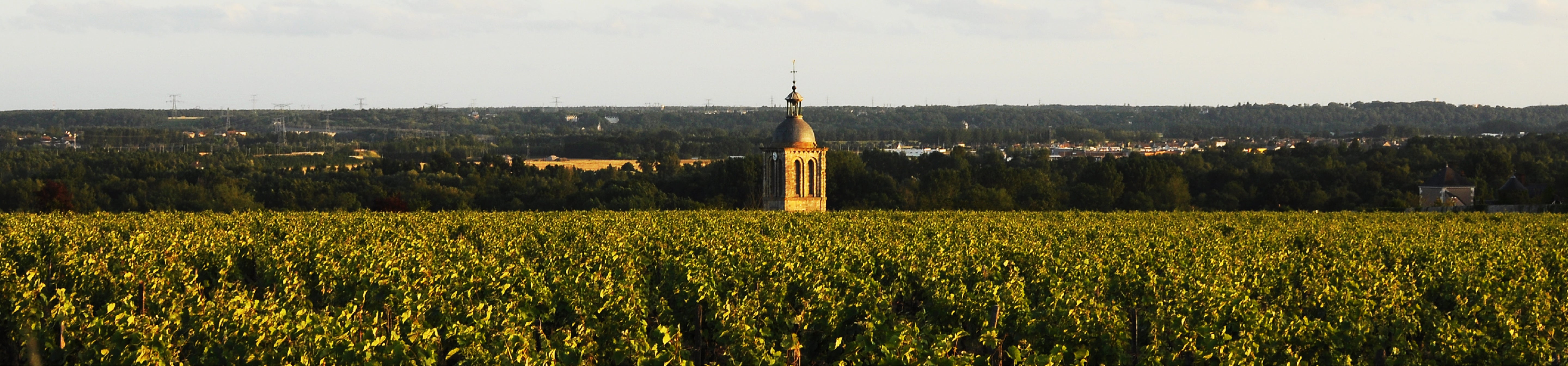 Domaine Huet