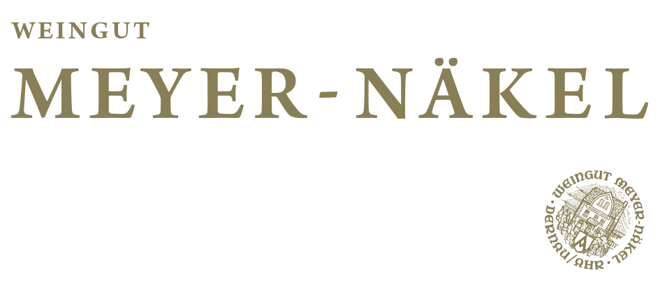 Meyer-Nakel