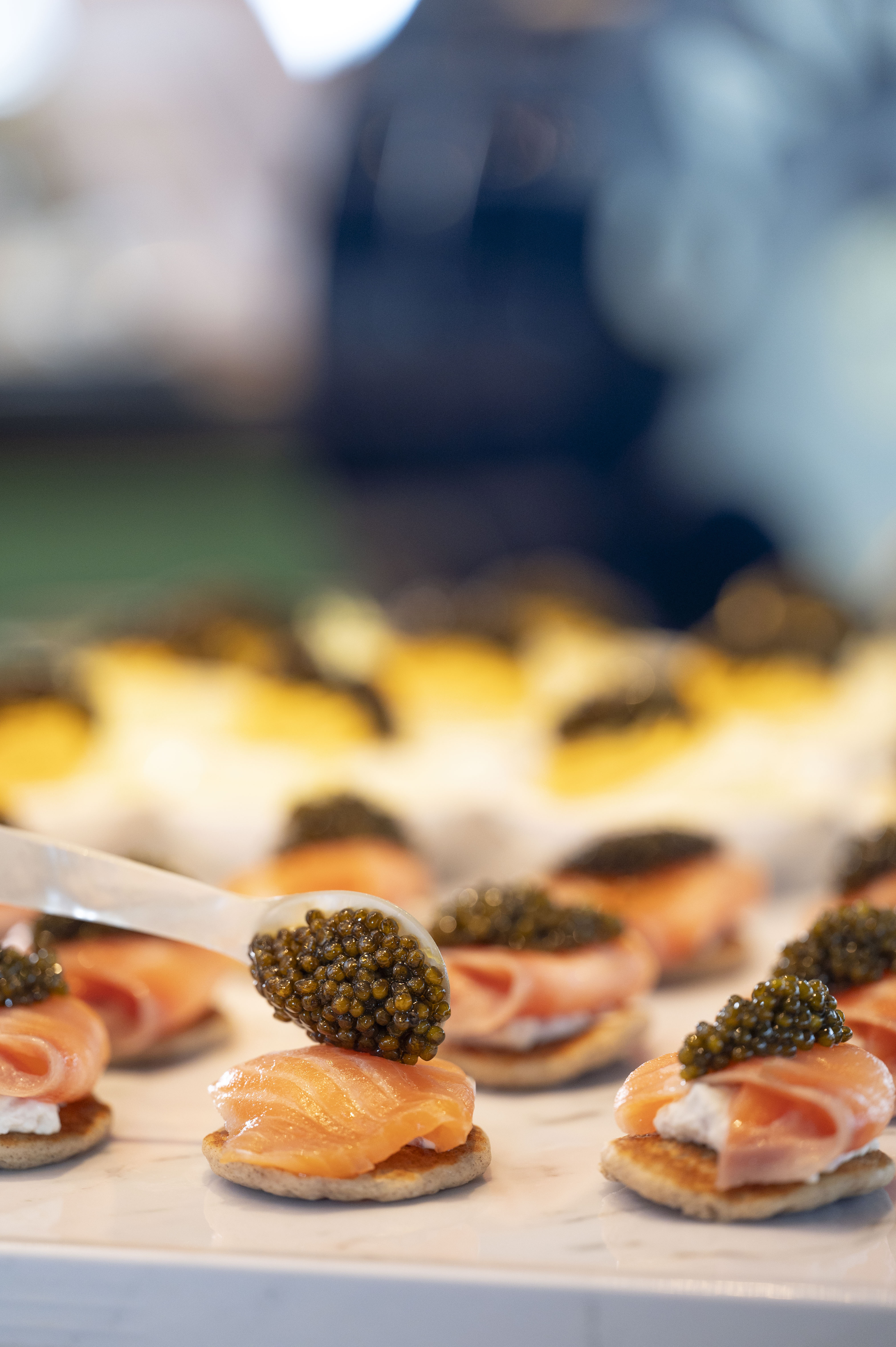 (15-Nov-2025) Summergate Grand Portfolio Tasting & Semi-Buffet Brunch