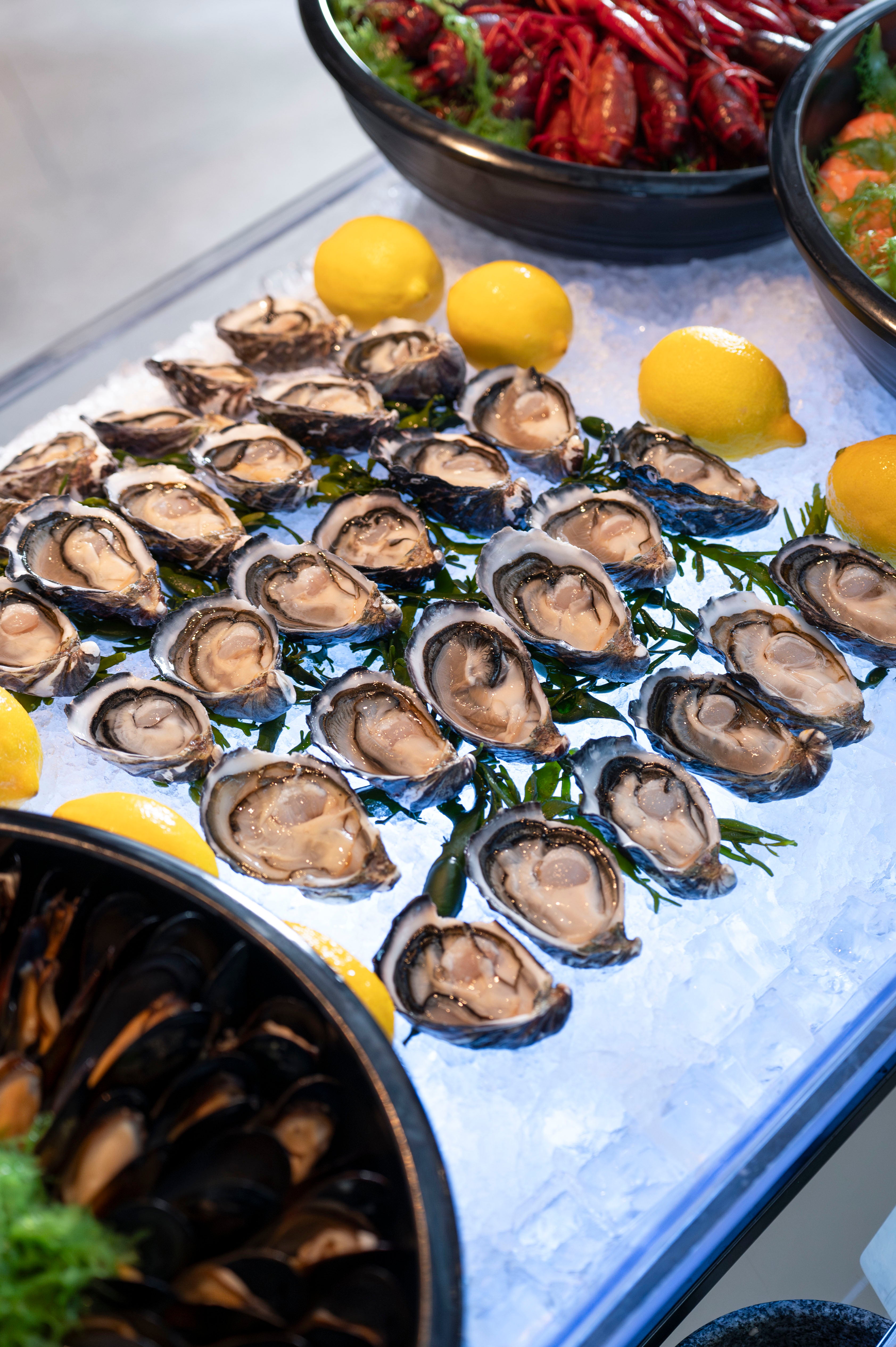 (15-Nov-2025) Summergate Grand Portfolio Tasting & Semi-Buffet Brunch